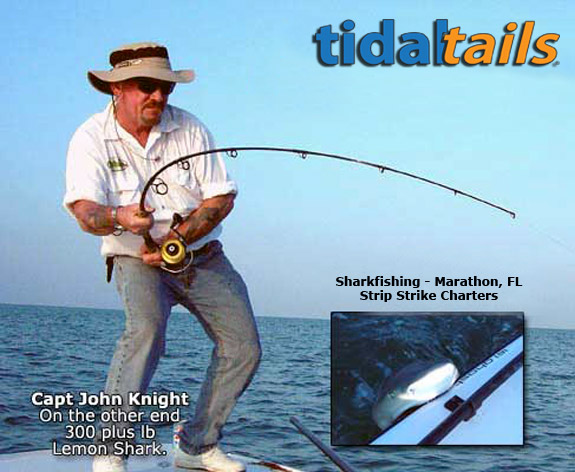 Hook outs Sharks